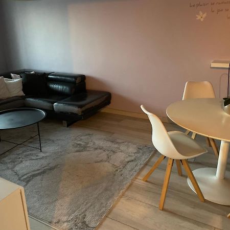 Superbe Appartement Avec Place De Parking Gratuit Štrasburk Exteriér fotografie