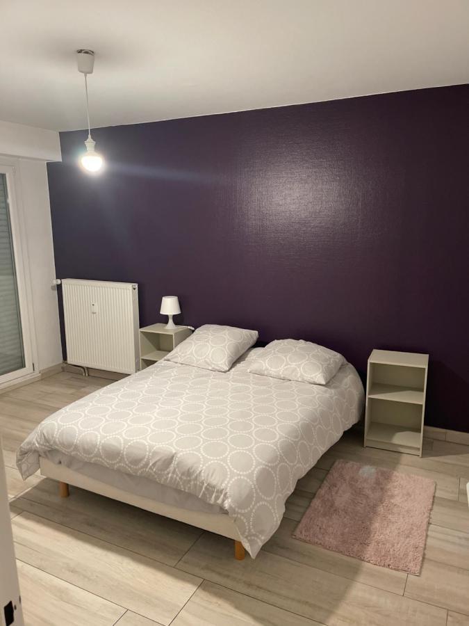 Superbe Appartement Avec Place De Parking Gratuit Štrasburk Exteriér fotografie